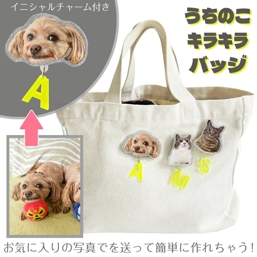 画像準備中